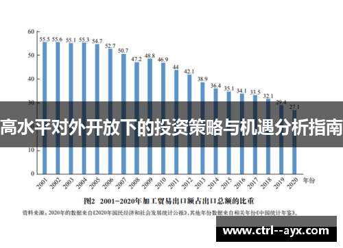 高水平对外开放下的投资策略与机遇分析指南